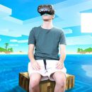 «Ютубер» сутки жил в мире Minecraft для VR